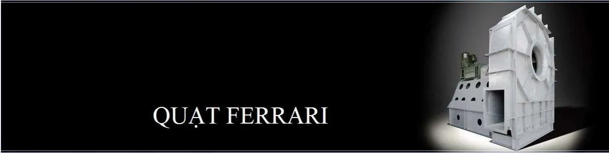 Image Bg