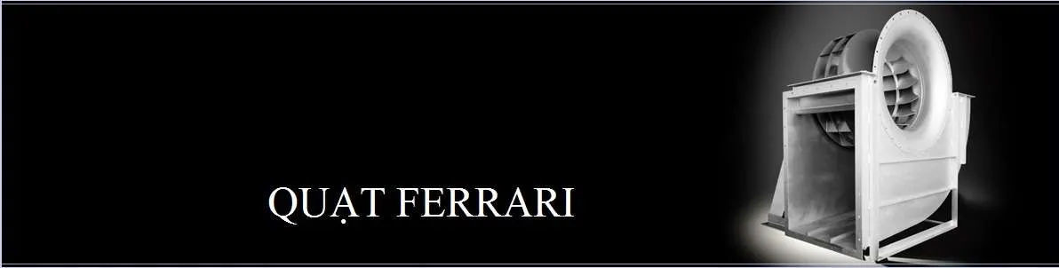 Image Bg