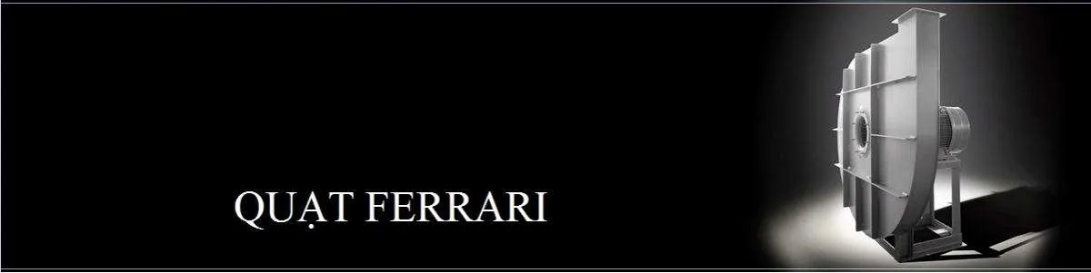 Image Bg